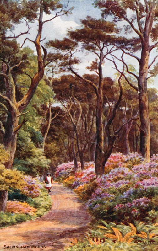 Sheringham Woods by Alfred Robert Quinton