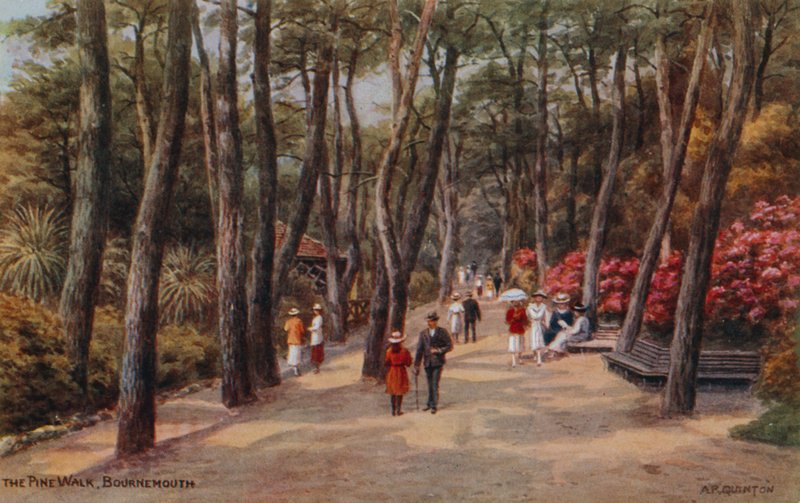 The Pine Walk, Bournemouth by Alfred Robert Quinton