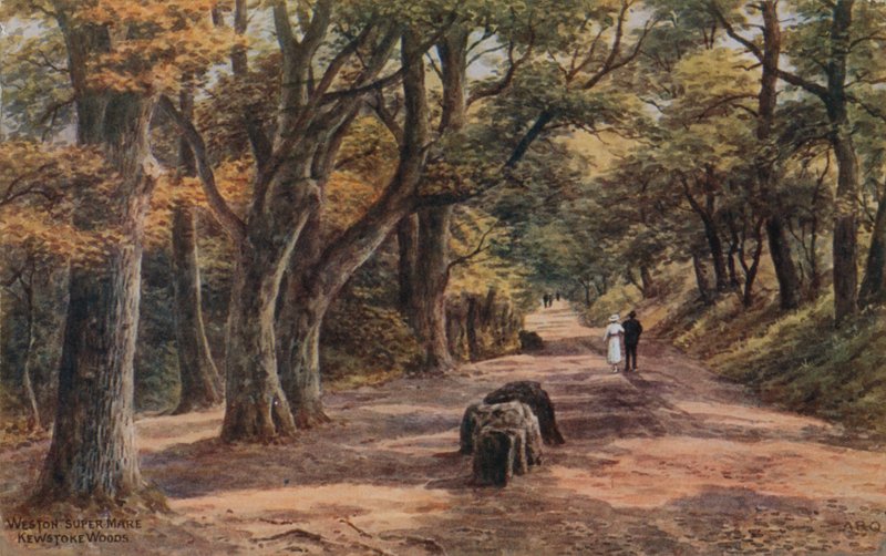 Weston-Super-Mare, Kewstoke Woods by Alfred Robert Quinton