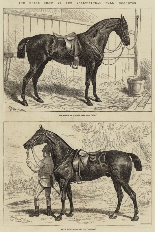 The Horse Show at the Agricultural Hall, Islington by Alfred Sheldon Williams