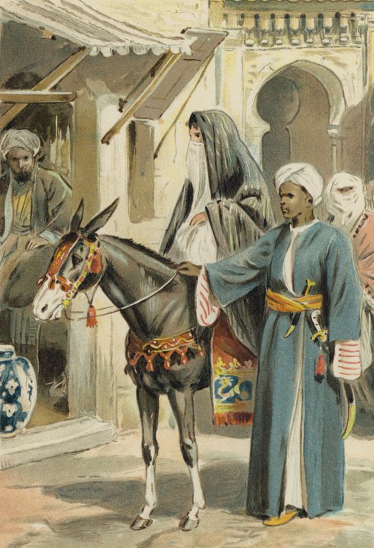 Arabian Nights: The History Of Aboulhassan And Schemselnihar by Alfred W. Cooper