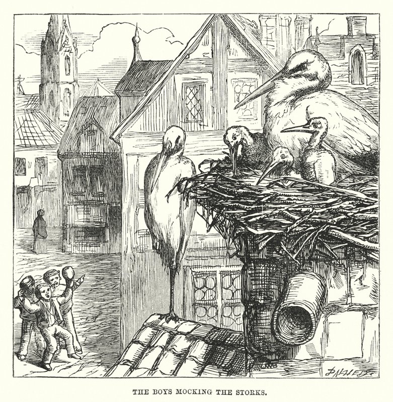Hans Christian Andersen: The Storks by Alfred Walter (after) Bayes