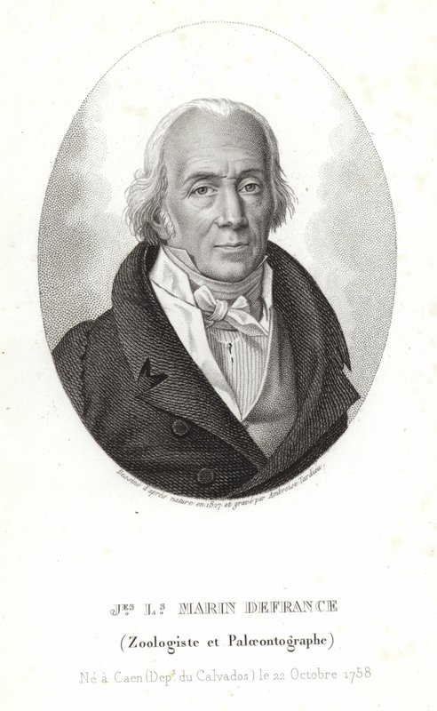 Jacques-Louis Marin de France by Ambroise Tardieu
