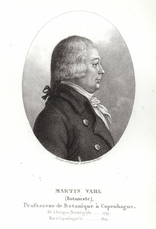 Martin Vahl by Ambroise Tardieu