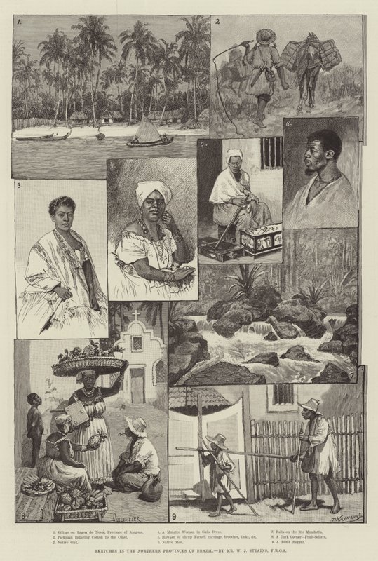 Sketches in the Northern Provinces of Brazil by Amedee Forestier