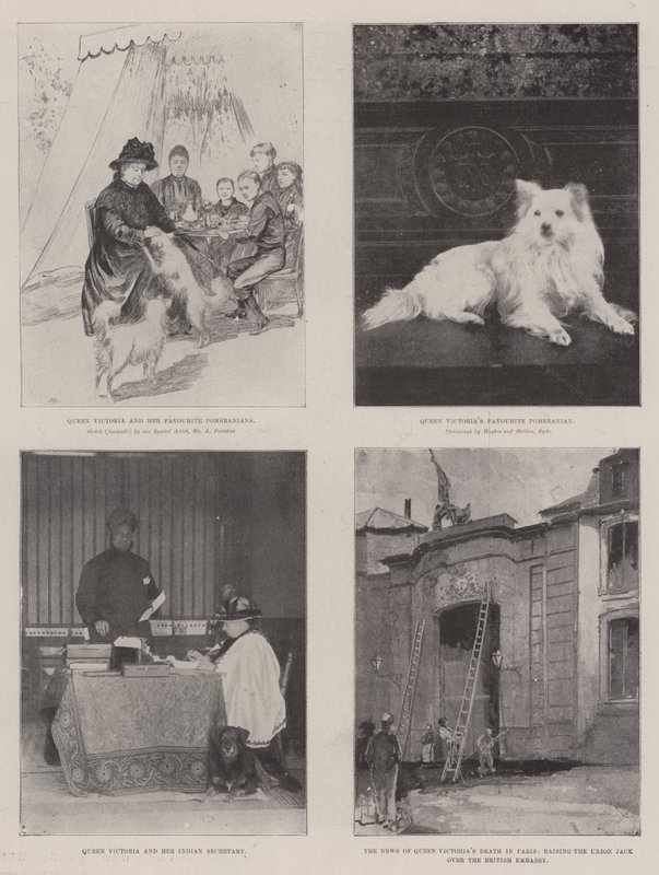 The Life of Victoria by Amedee Forestier