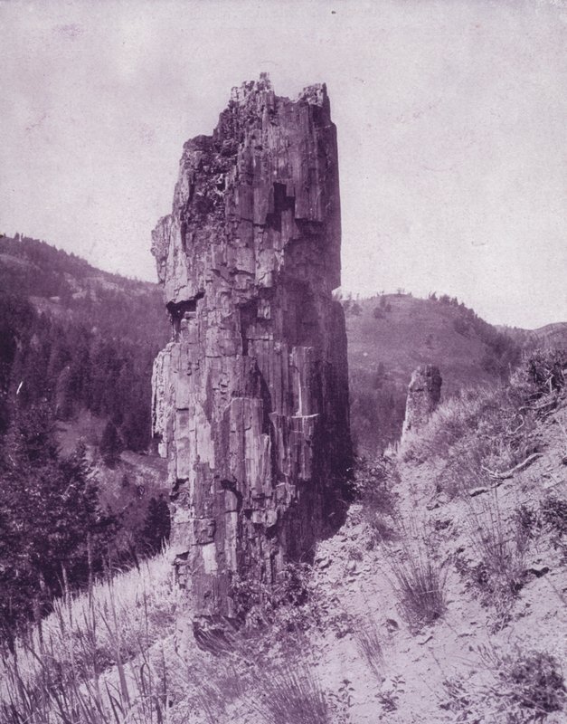 A petrified tree in the bad lands of Dakota by American Photographer (after)