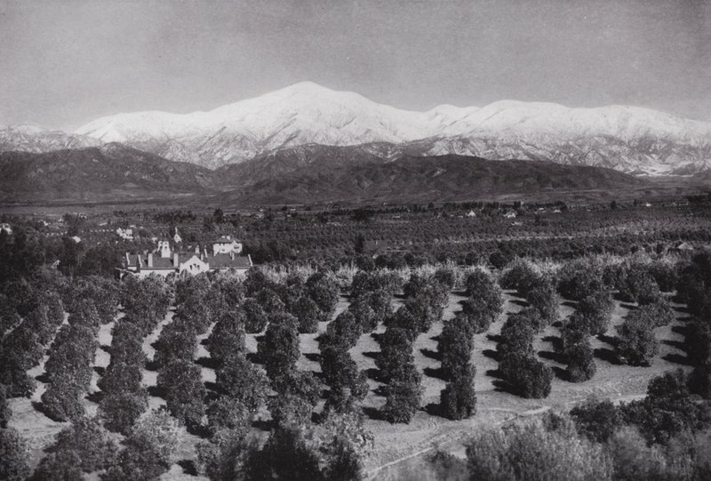 California: Redlands, from Smiley Heights, sunshine, orange groves, and snowy peaks by American Photographer (after)
