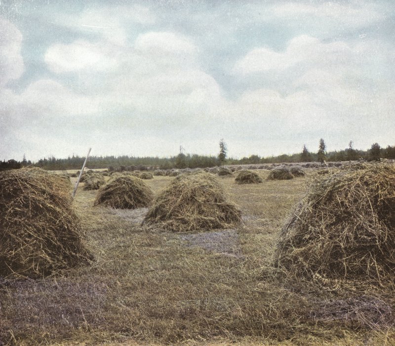 Oregon: Alfalfa by American Photographer (after)