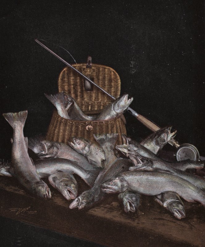 Oregon: Fishing by American Photographer (after)