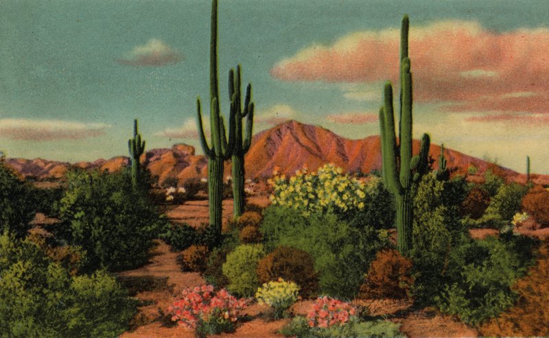 Camel Back Mountain and Desert, Phoenix, Arizona by American Photographer (after)