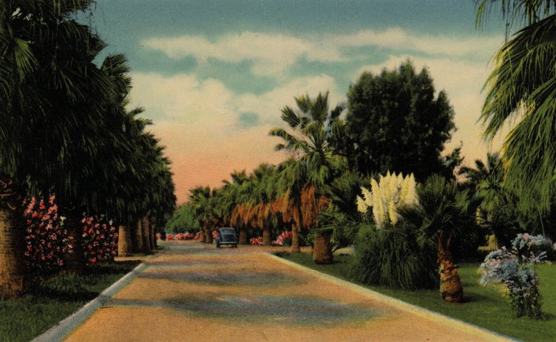 Phoenix, Arizona: Country Club Park by American Photographer (after)
