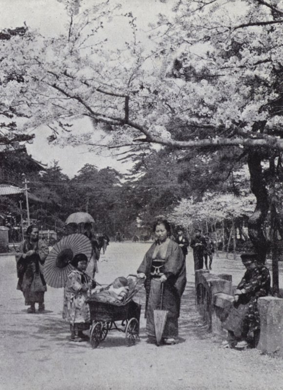 Under the Cherry-Blossom in Shiba Park, Tokyo by American Photographer (after)