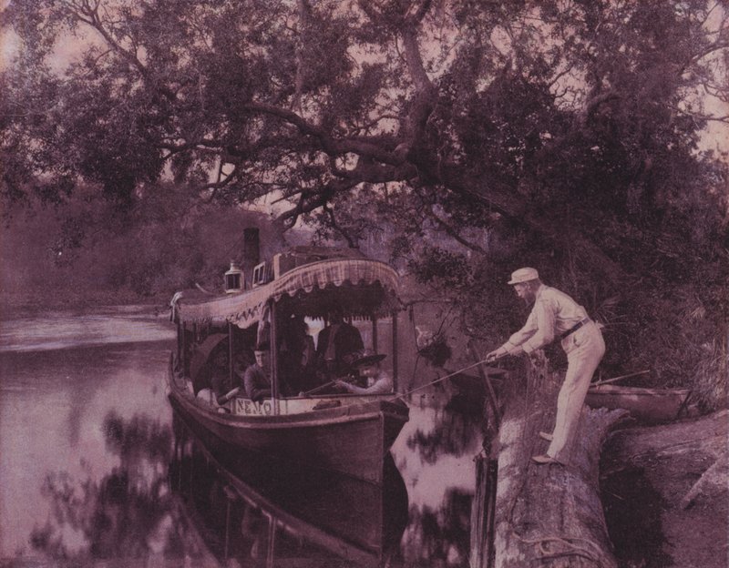 Winter in Florida by American Photographer (after)