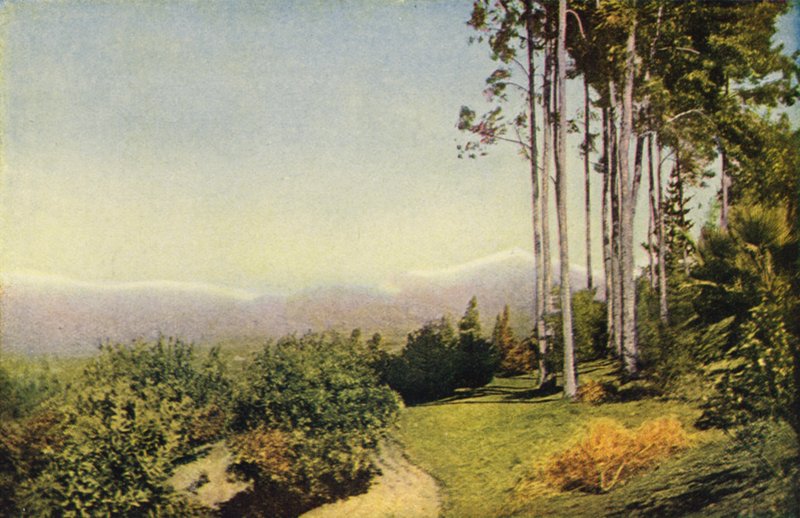 A Southern California Landscape Near Redlands by American Photographer