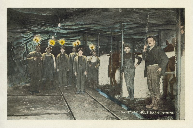 American Coal Mining: Sanitary Mule Barn in Mine by American Photographer