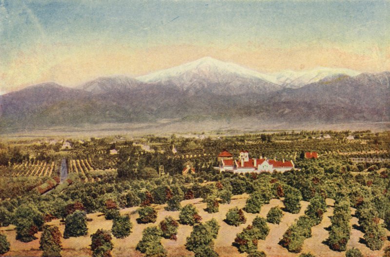 Among the Orange Groves Near Riverside by American Photographer