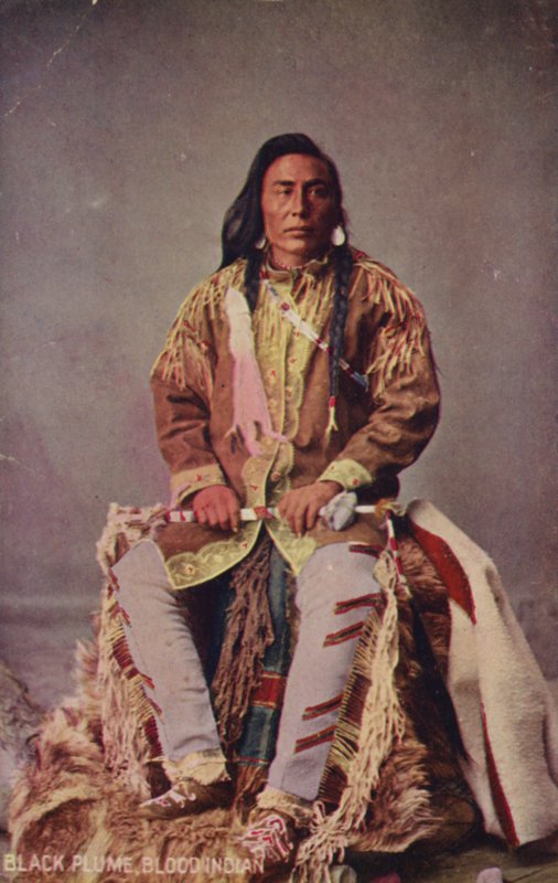 Black Plume, Blood Indian by American Photographer
