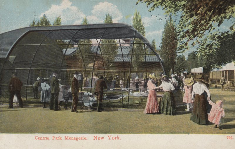 Central Park Menagerie, New York by American Photographer