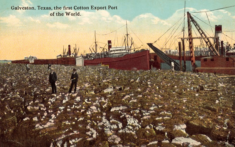 Galveston, Texas, USA, the first cotton export port of the world by American Photographer
