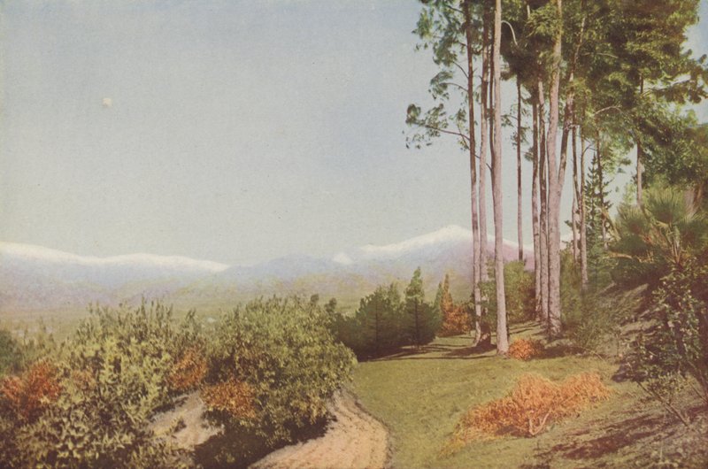Old Baldy, from Smiley Heights, California by American Photographer