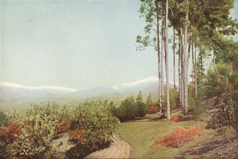 Old Baldy, from Smiley Heights, California by American Photographer