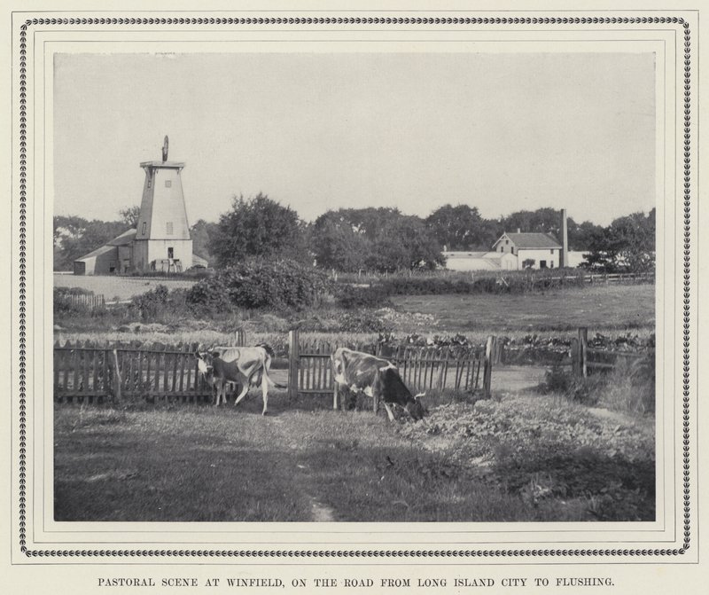 Pastoral Scene at Winfield, on the Road from Long Island City to Flushing by American Photographer