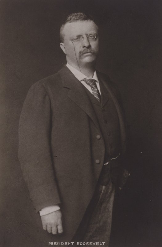 Theodore Roosevelt, 26th President of the United States, 1904 by American Photographer