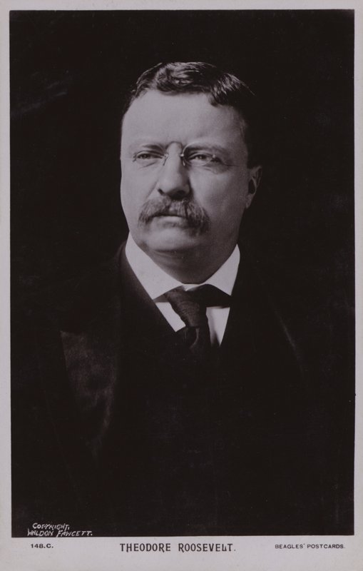 Theodore Roosevelt, American Politician and 26th President of the United States by American Photographer