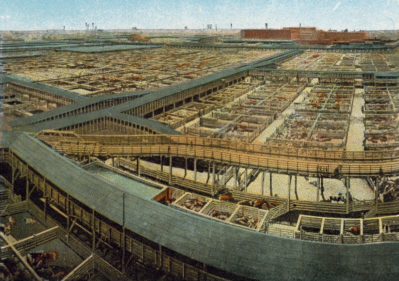Union Stock Yards by American Photographer