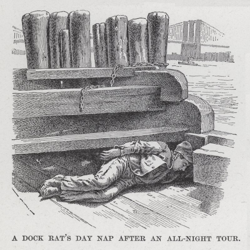 A Dock Rat