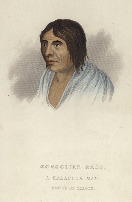A Kalapuya man by American School
