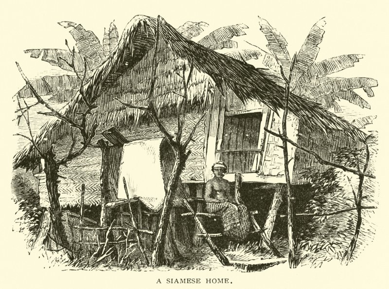 A Siamese Home by American School