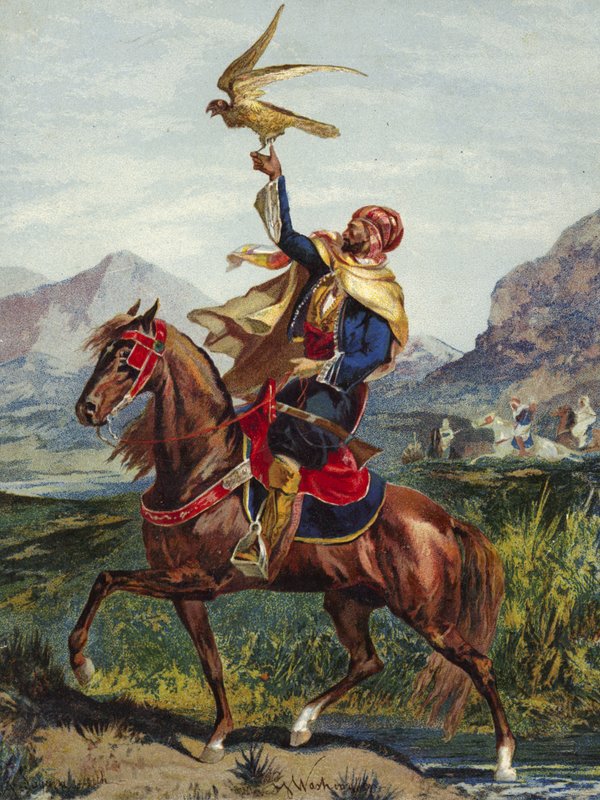 Arab Horseman with Hawk by American School