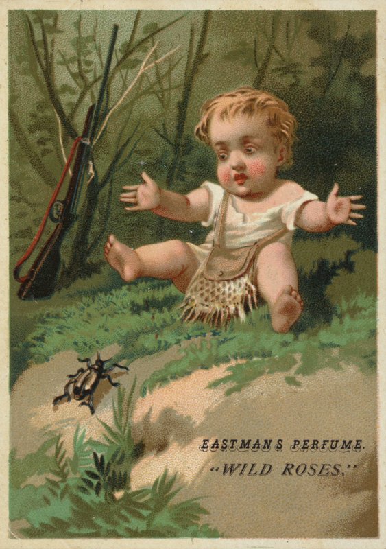 Baby in Woods by American School