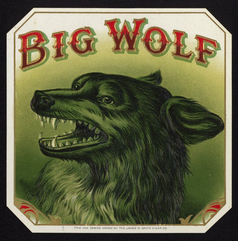 Black Wolf Baring Teeth by American School