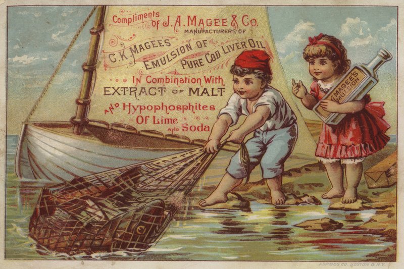 Boy Pulling-In Fishing Net by American School