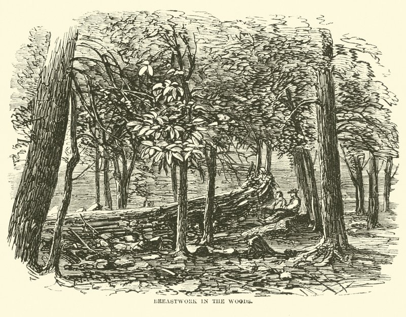 Breastwork in the woods, July 1863 by American School