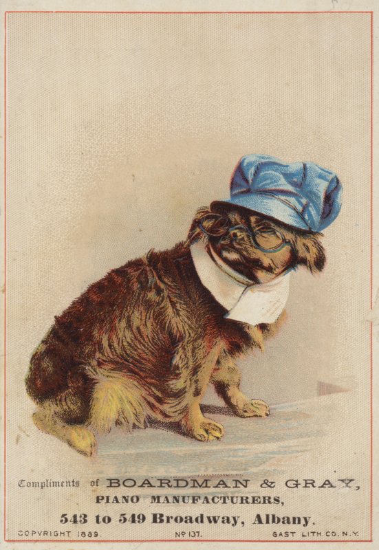 Brown Dog Wearing a Hat and Glasses by American School