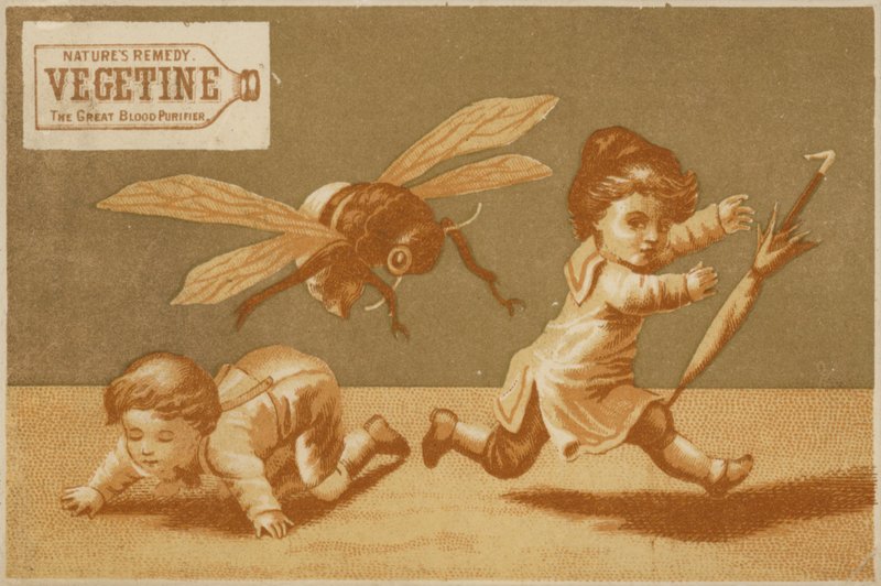 Children Being Chased By Bee by American School