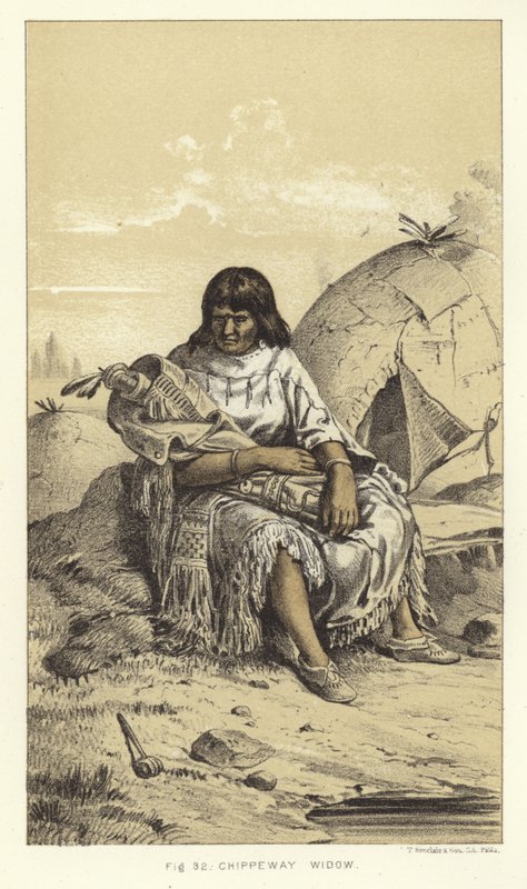 Chippewa Widow by American School