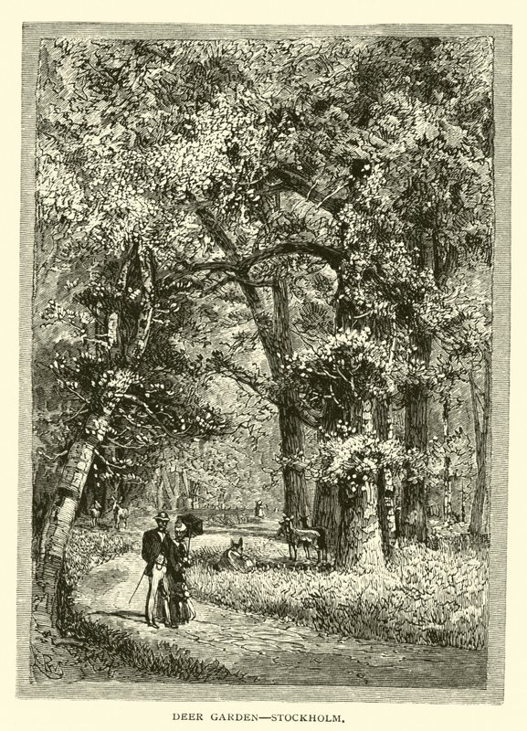 Deer Garden, Stockholm by American School