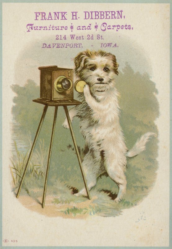 Dog with a Camera by American School