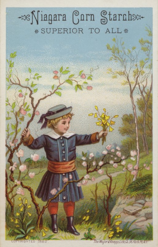 Girl Holding Bunch of Flowers in Countryside by American School