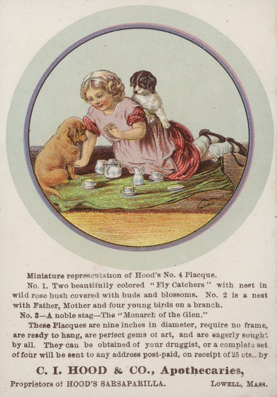 Girl Sitting on Blanket with Puppies by American School