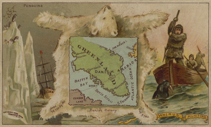 Greenland, Penguins, Polar Bears and Walrus Hunting by American School