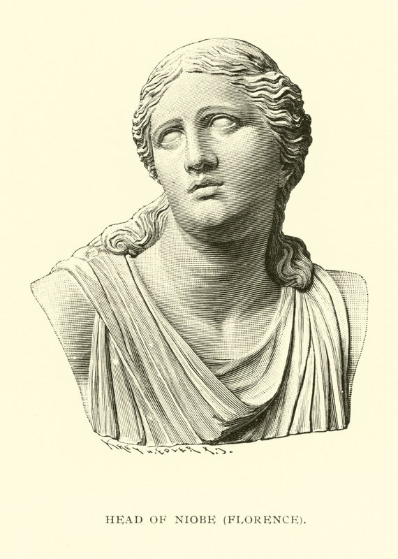 Head of Niobe, Florence by American School