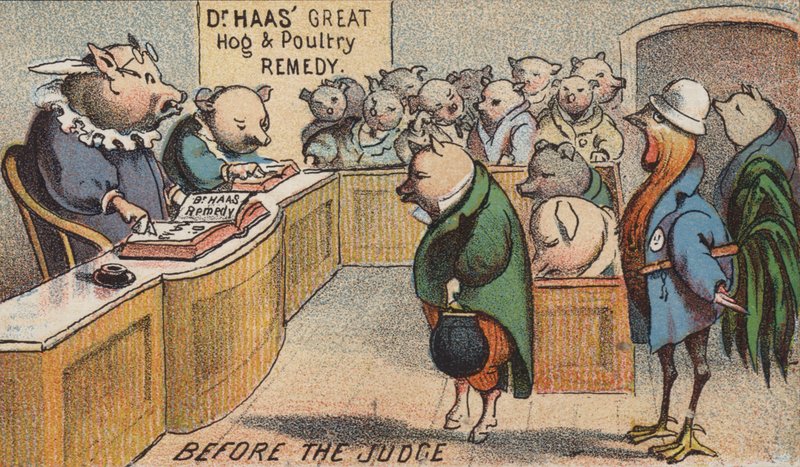 Hog in Court by American School