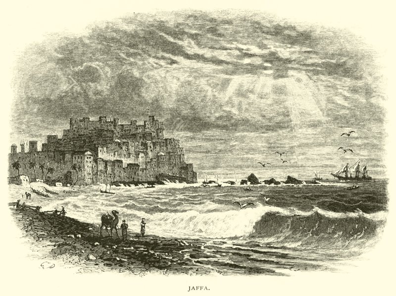 Jaffa by American School