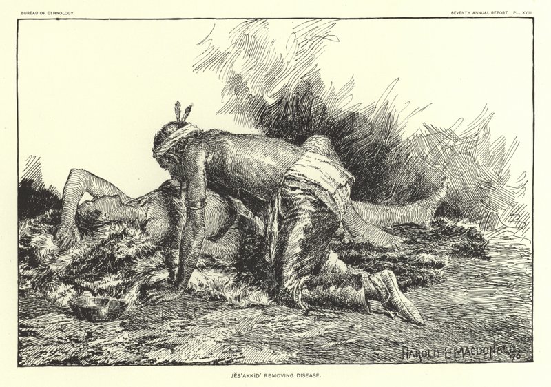 Jesakkid Removing Disease by American School